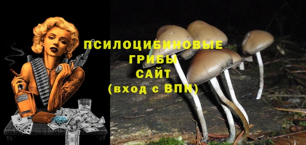 прущие крисы Баксан