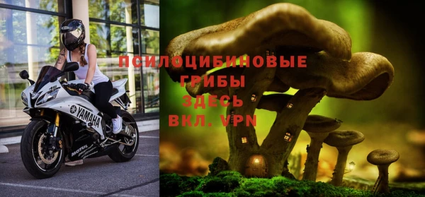 прущие крисы Баксан