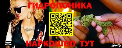 a pvp Пушкино