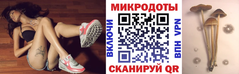Псилоцибиновые грибы GOLDEN TEACHER  Сегежа 