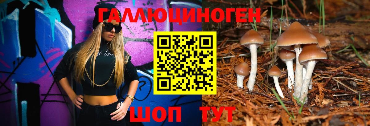 Псилоцибиновые грибы MAGIC MUSHROOMS  Галлюциногенные грибы Psilocybine cubensis  Сегежа  как найти закладки  Вход с VPN 