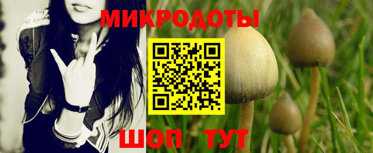 Гашиш Сегежа